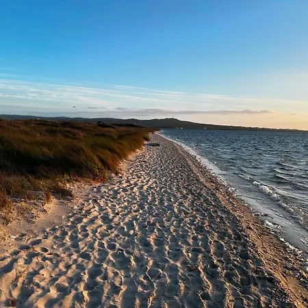 게스트하우스 Beppo's Domus